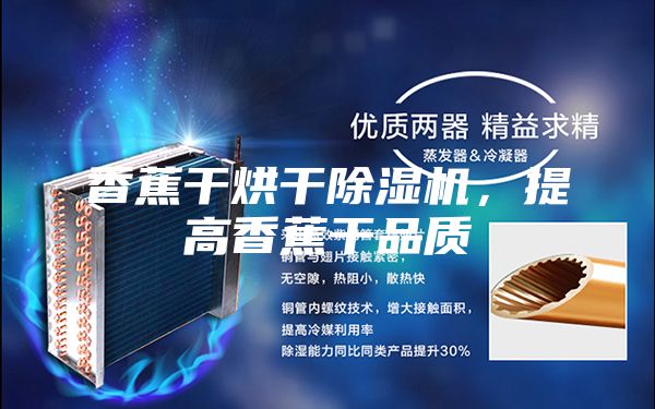 香蕉干烘干除湿机，提高香蕉干品质
