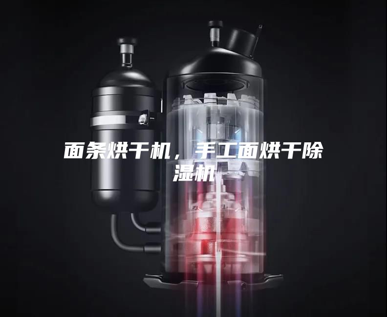 面条烘干机，手工面烘干除湿机