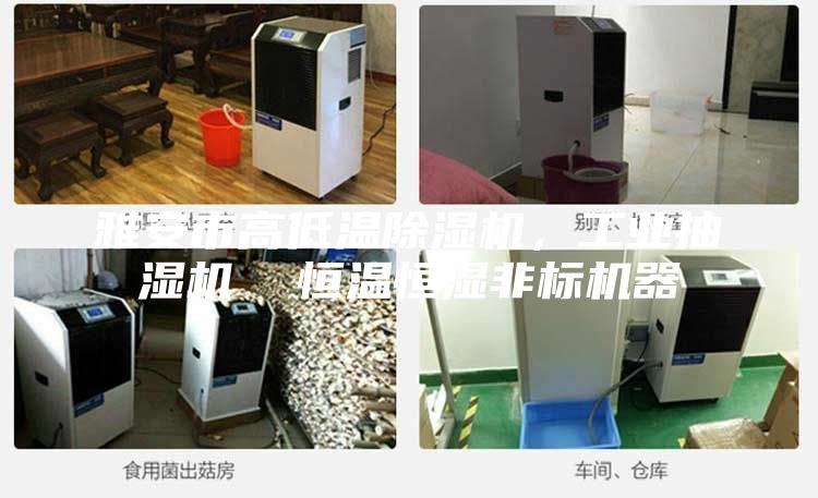 雅安市高低温除湿机，工业抽湿机  恒温恒湿非标机器