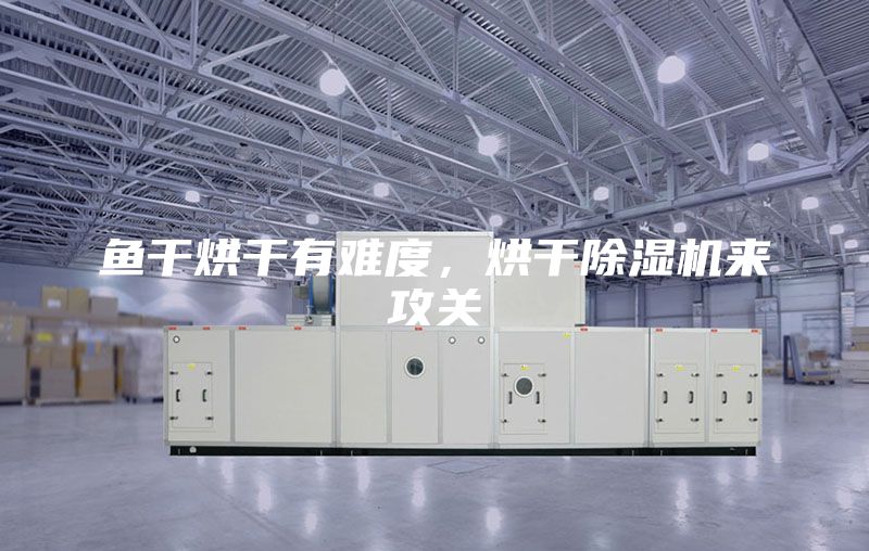 鱼干烘干有难度，烘干除湿机来攻关