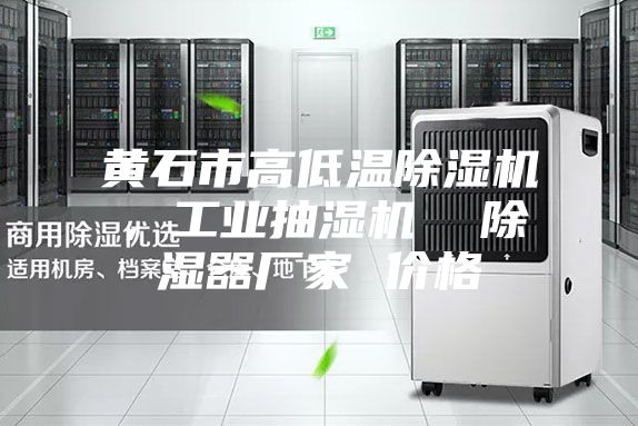 黄石市高低温除湿机，工业抽湿机  除湿器厂家 价格