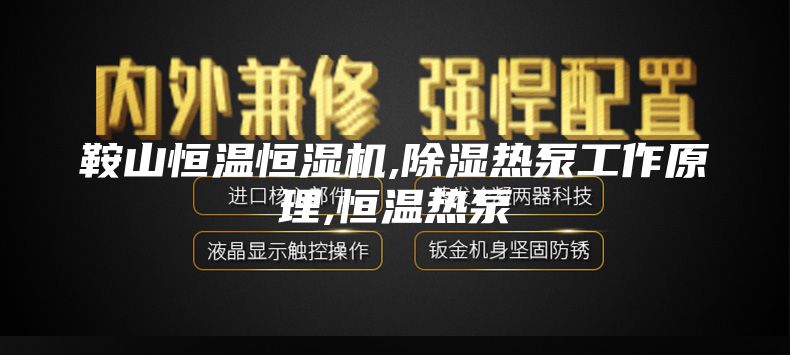 鞍山恒温恒湿机,除湿热泵工作原理,恒温热泵