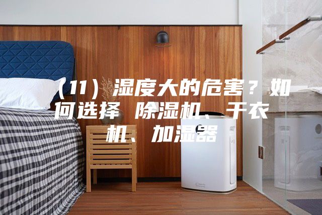 （11）湿度大的危害？如何选择 除湿机、干衣机、加湿器