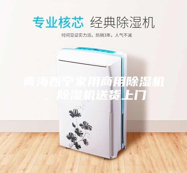青海西宁家用商用除湿机，除湿机送货上门