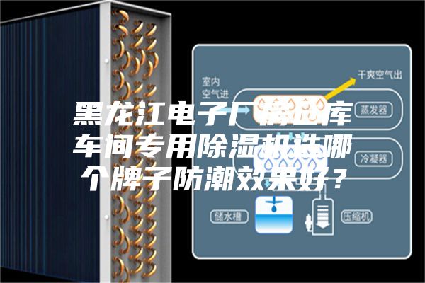 黑龙江电子厂房仓库车间专用除湿机选哪个牌子防潮效果好？