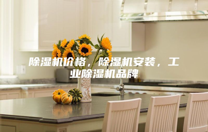 除湿机价格，除湿机安装，工业除湿机品牌