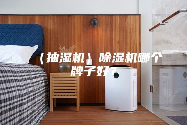 （抽湿机）除湿机哪个牌子好？