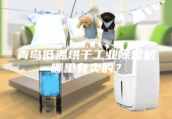 青岛低温烘干工业除湿机哪里有卖的？