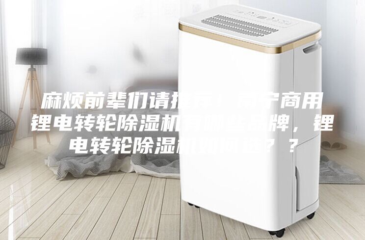麻烦前辈们请推荐！南宁商用锂电转轮除湿机有哪些品牌，锂电转轮除湿机如何??？？