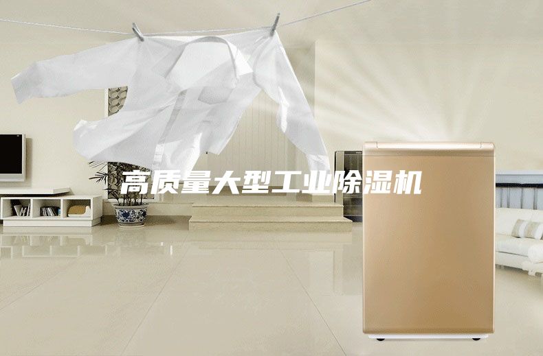 高质量大型工业除湿机