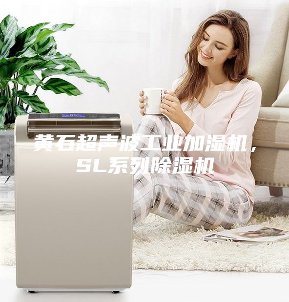 黄石超声波工业加湿机，SL系列除湿机