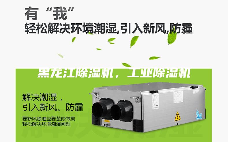 黑龙江除湿机，工业除湿机