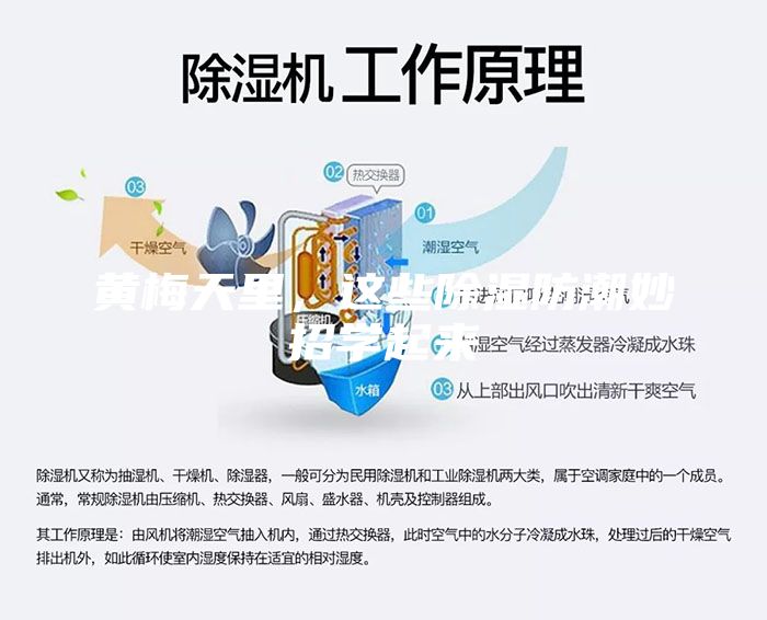 黄梅天里，这些除湿防潮妙招学起来