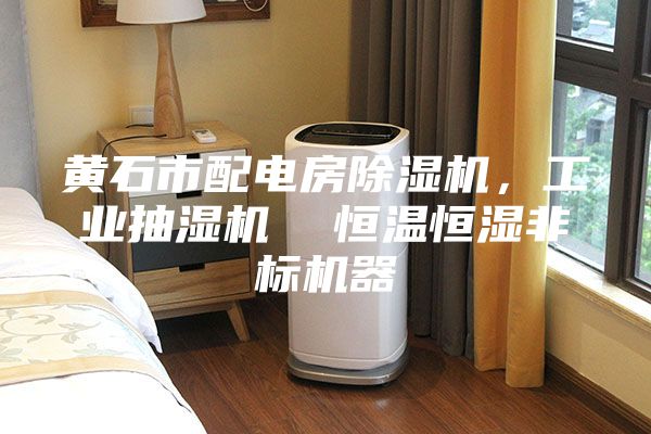 黄石市配电房除湿机，工业抽湿机  恒温恒湿非标机器